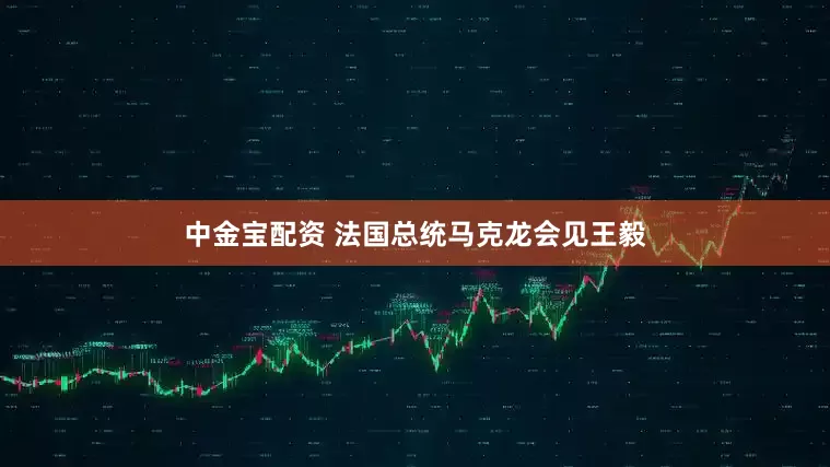 中金宝配资 法国总统马克龙会见王毅