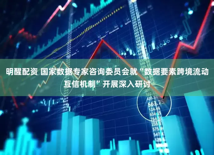 明醒配资 国家数据专家咨询委员会就“数据要素跨境流动互信机制”开展深入研讨