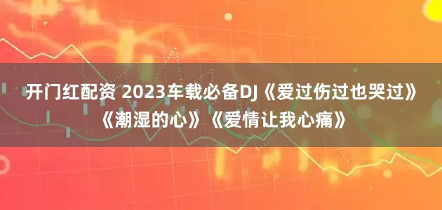 开门红配资 2023车载必备DJ《爱过伤过也哭过》《潮湿的心》《爱情让我心痛》